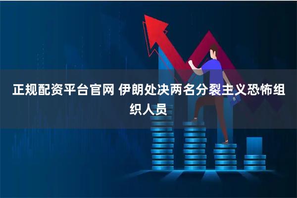 正规配资平台官网 伊朗处决两名分裂主义恐怖组织人员